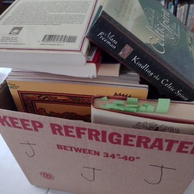 Nice Collection of Celtic and Enchantment Themed Books Choice J