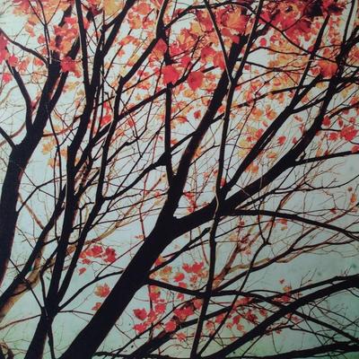 Large Canvas Art Print Choice C