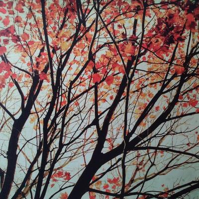 Large Canvas Art Print Choice C