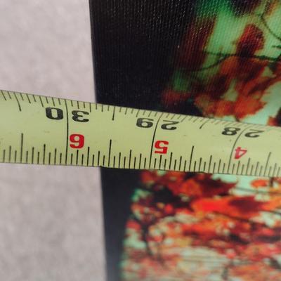 Large Canvas Art Print Choice C