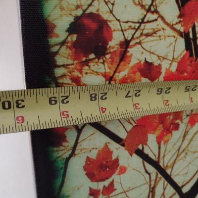 Large Canvas Art Print Choice C