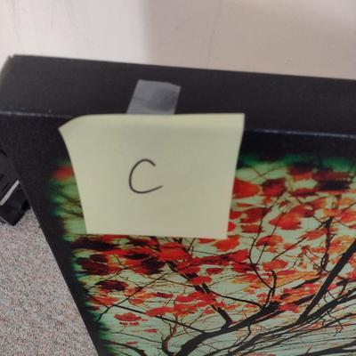 Large Canvas Art Print Choice C