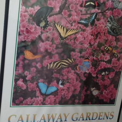 Framed Print of the Butterfly Callaway Gardens Choice F