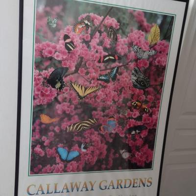 Framed Print of the Butterfly Callaway Gardens Choice F