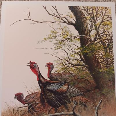 "WILD TURKEYS" AND "BENGAL BRACE" LITHOGRAPH BY GUY COHELEACH