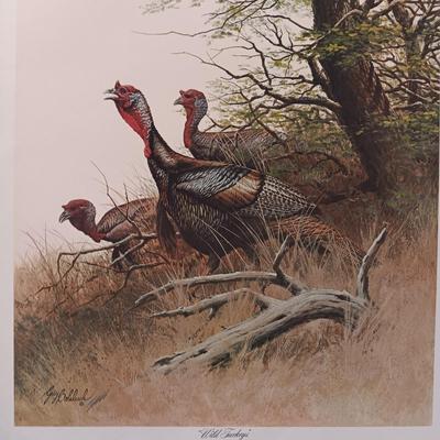 "WILD TURKEYS" AND "BENGAL BRACE" LITHOGRAPH BY GUY COHELEACH