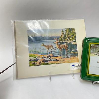 292 Decorative Forest Lamp with Deer, Antique Print of Adirondack Deer