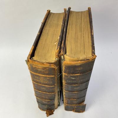 321 Two Volumes of The Works of Shakespeare with notes by Charles Knight