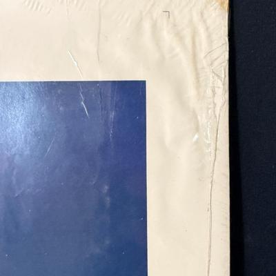 Vintage Blacula Movie Poster c1972