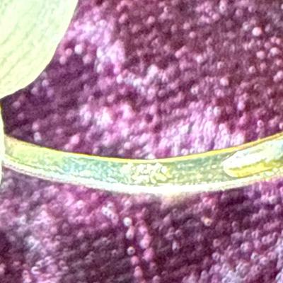 Sale Photo Thumbnail #138: 21-14K Stamped Ring/sz 9/3.5g