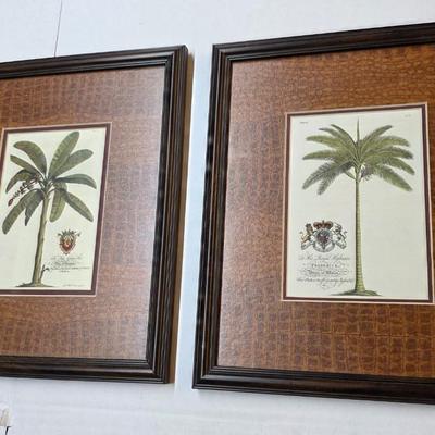 Antique-Style Palm Tree Botanical Prints Framed Pair Royal Barbados Engravings