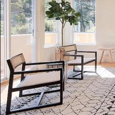 Sale Photo Thumbnail #22: Chairs-Black cane designer chairs 