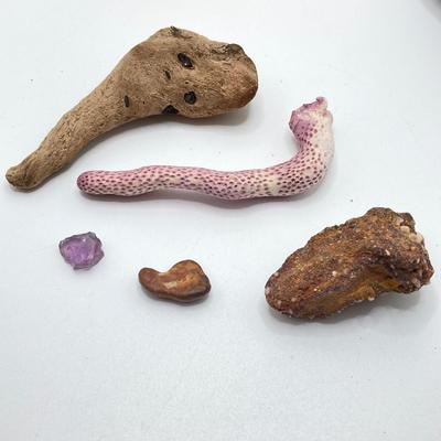 LOT 35: Vintage Adventure / Outdoor Collectibles - Rocks / Stones, Shells, Camping, Tools and More