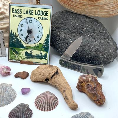 LOT 35: Vintage Adventure / Outdoor Collectibles - Rocks / Stones, Shells, Camping, Tools and More