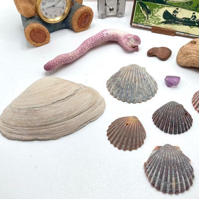 LOT 35: Vintage Adventure / Outdoor Collectibles - Rocks / Stones, Shells, Camping, Tools and More