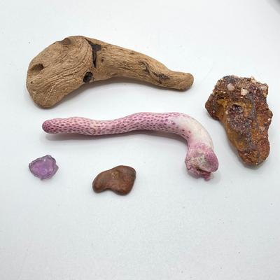 LOT 35: Vintage Adventure / Outdoor Collectibles - Rocks / Stones, Shells, Camping, Tools and More