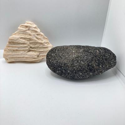 LOT 35: Vintage Adventure / Outdoor Collectibles - Rocks / Stones, Shells, Camping, Tools and More