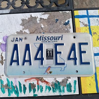 LOT 162: Vintage License Plate Collection