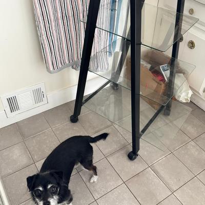 Modern metal and glass cascading 4 shelf on wheels