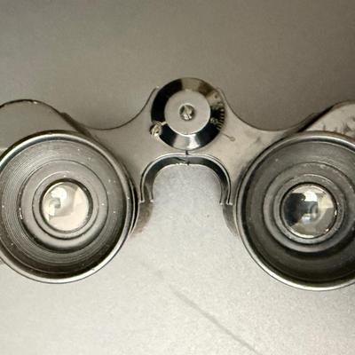 WW2 German Binoculars by G. Rodensock with Leather Case