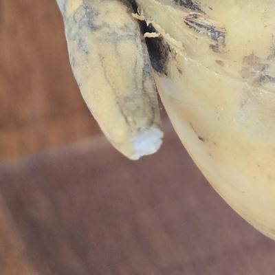 LOT 85: Elephant Book Ends Made in Philippines