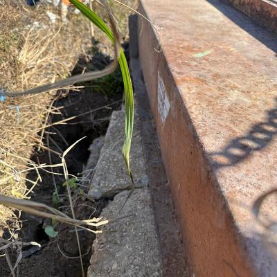 United Farm Tool Heavy-Duty Bush Hog