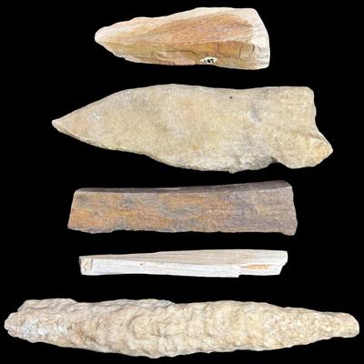 Sale Photo Thumbnail #605: Includes horned coral, flint, sandstone, pyrite, igneous, and more. Total of 15+ pieces. [BK]