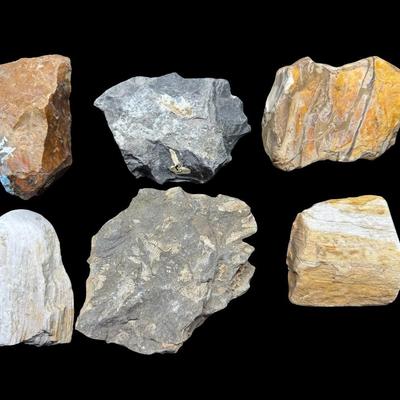 Sale Photo Thumbnail #603: Includes horned coral, flint, sandstone, pyrite, igneous, and more. Total of 15+ pieces. [BK]