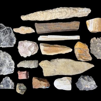 Sale Photo Thumbnail #602: Includes horned coral, flint, sandstone, pyrite, igneous, and more. Total of 15+ pieces. [BK]