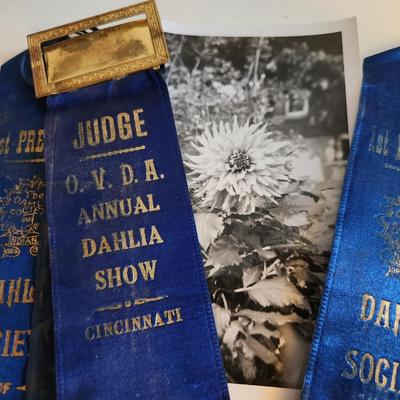 Sale Photo Thumbnail #232: This lot is for a grouping of Vintage Blue Ribbons for a Dahlia Flower. The ribbons are dated 1938 and come from Cincinnati and Indiana.  Great vintage items for many purposes.