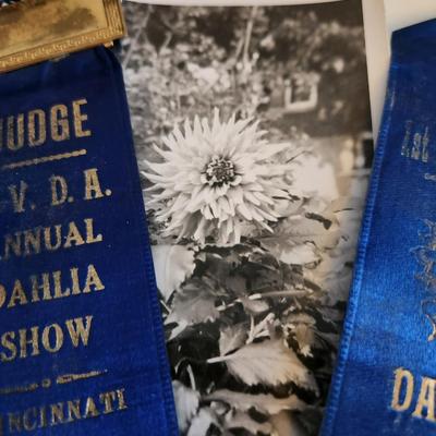 Sale Photo Thumbnail #234: This lot is for a grouping of Vintage Blue Ribbons for a Dahlia Flower. The ribbons are dated 1938 and come from Cincinnati and Indiana.  Great vintage items for many purposes.