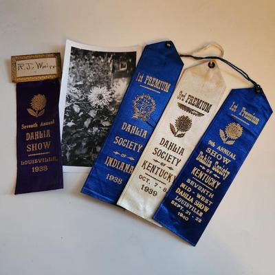 Sale Photo Thumbnail #239: This auction lot is for a Collection of Ribbons for Growing Dahlias. The winning dahlia is in the picture.  Mr. White was a famous dahlia grower and bulb seller in Louisville, KY in the 1930s and 40s. He named the shown dahlia after Kate Smith, the famous