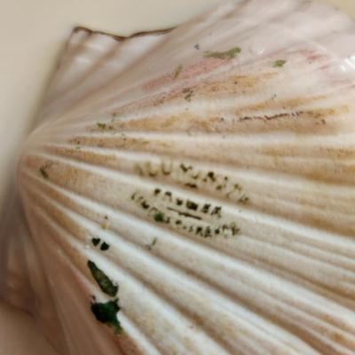 Sale Photo Thumbnail #266: This lot is for Two Hand-Painted Limoge Shell Dishes.  These dishes are from the Tressemann & Vogt Sea Life Collection produced by Limoge many years ago.  They appear to be in very nice condition with no chips. Marked on the verso.