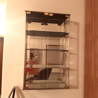 WALL HUNG GLASS DISPLAY CASE WITH MIRRORED SHELVES AND BACK GROUND
