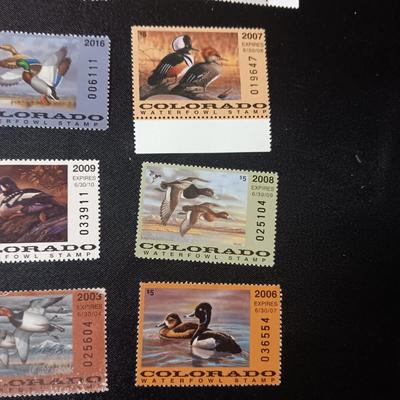COLORADO WATERFOWL STAMPS