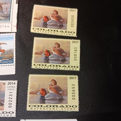 COLORADO WATERFOWL STAMPS