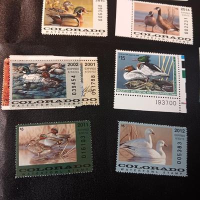 COLORADO WATERFOWL STAMPS