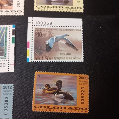 COLORADO WATERFOWL STAMPS