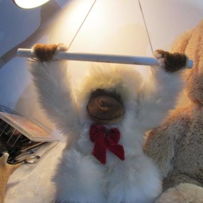 Sale Photo Thumbnail #381: Rory is 9" tall & takes 2 AA batteries not included, biggest bear is 20" tall, breast cancer bear is 6-1/2", the green bear is 5-1/2", Monkey is 11" tall & has a tag  See pictures