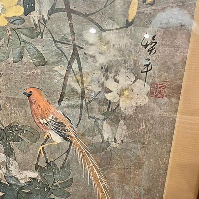 Lot 50 Bird & Flower prints
