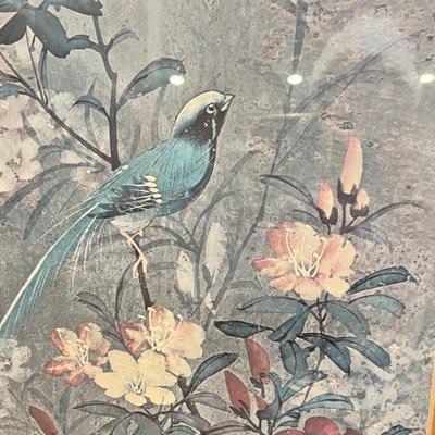 Lot 50 Bird & Flower prints