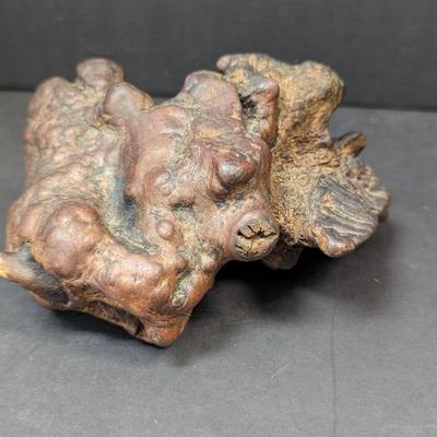 Vintage Petrified Wood