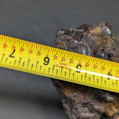 Vintage Petrified Wood