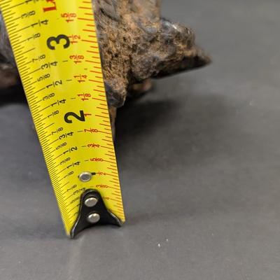 Vintage Petrified Wood