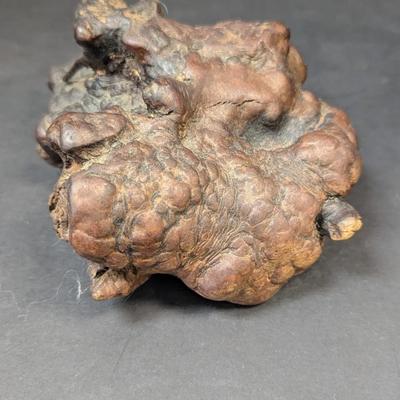 Vintage Petrified Wood