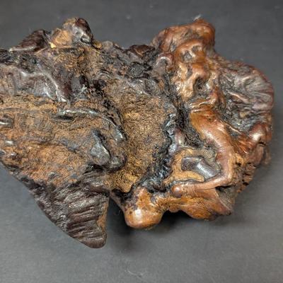 Vintage Petrified Wood