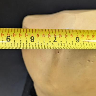 "Fragment Of A Queen's Face" is a Yellow Jasper From Egypt's New Kingdom