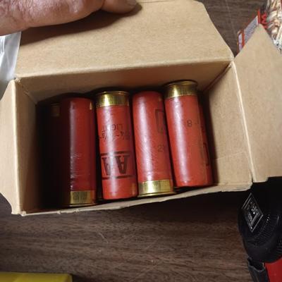 22 LONG RIFLE AND 12G SHOTGUN SHELLS, FIREARM LOCKS. POWDER, HEARING PROTECTION