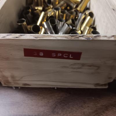 38 SPECIAL SHELLS AND LEAD BULLETS FOR RELOADING