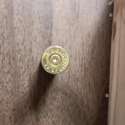 38 SPECIAL SHELLS AND LEAD BULLETS FOR RELOADING